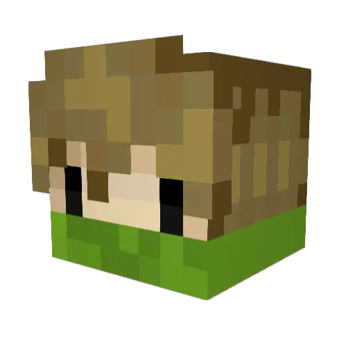 BenC1405 Minecraft avatar head, 3D render