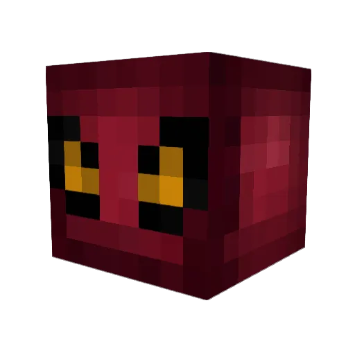 BenDogZ Minecraft avatar head, 3D render