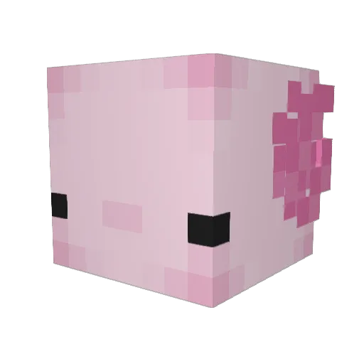 BenEtNuts Minecraft avatar head, 3D render