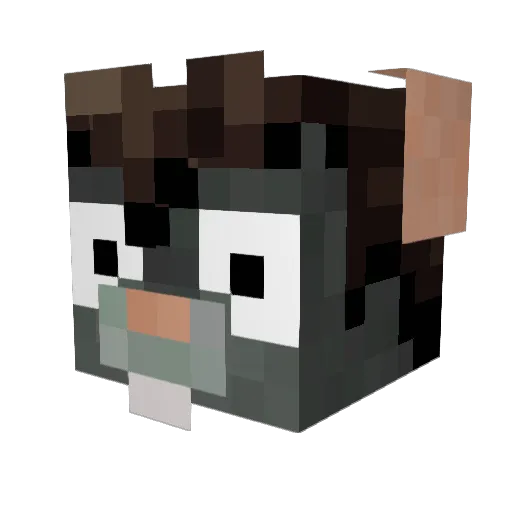 BenJJJA777 Minecraft avatar head, 3D render