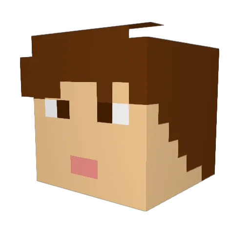 BenJammin666 Minecraft avatar head, 3D render