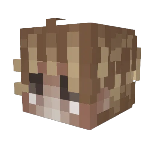 BenJi8867 Minecraft avatar head, 3D render