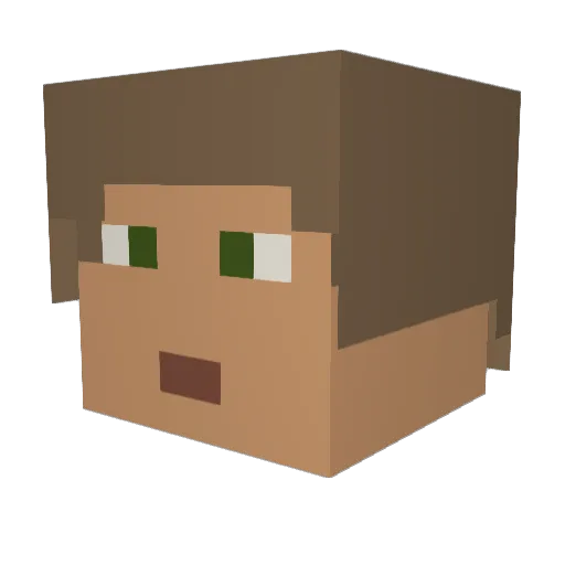 BenJonkings Minecraft avatar head, 3D render