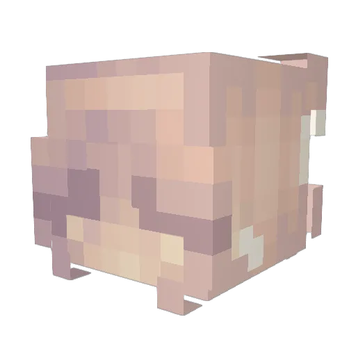 BenMo123 Minecraft avatar head, 3D render