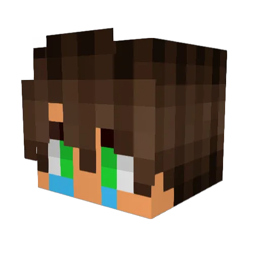 BenTennyson79 Minecraft avatar head, 3D render
