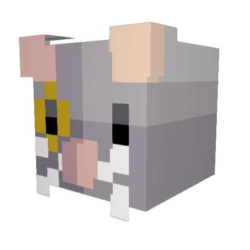 BenTheDragon Minecraft avatar head, 3D render