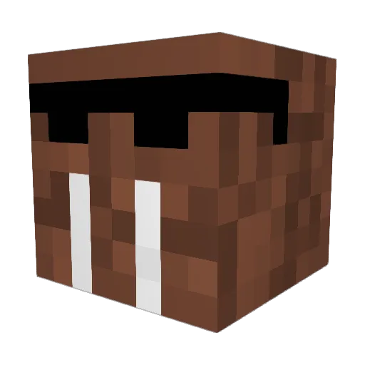 BenTheWalrus456 Minecraft avatar head, 3D render