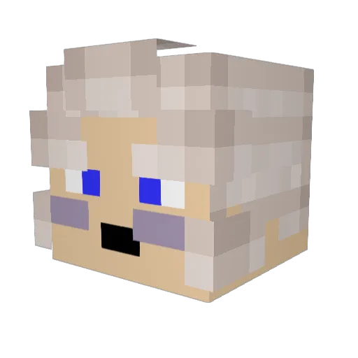 Ben_991 Minecraft avatar head, 3D render