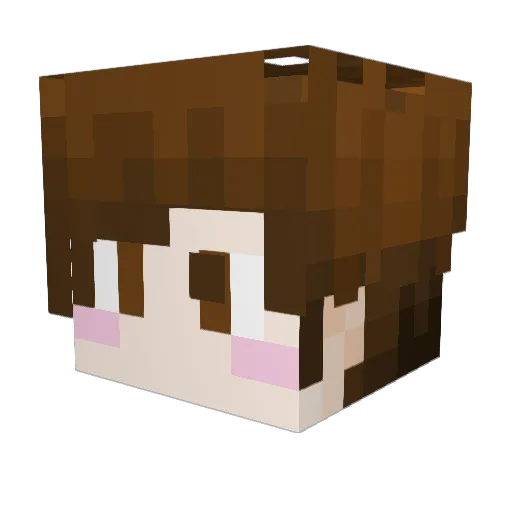 Ben_B_Jammin Minecraft avatar head, 3D render