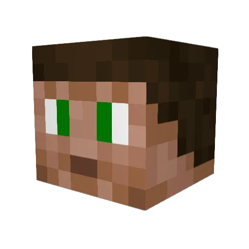 Ben_Hook Minecraft avatar head, 3D render