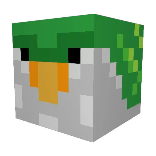 Ben_Jamin082 Minecraft avatar head, 3D render