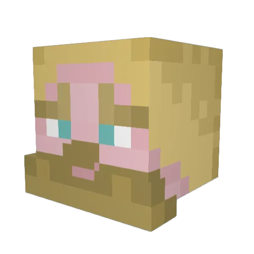 Ben_Ni Minecraft avatar head, 3D render