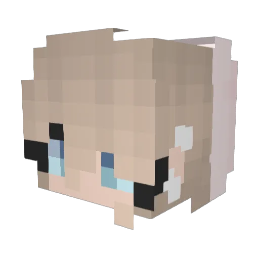 Benadryl97 Minecraft avatar head, 3D render