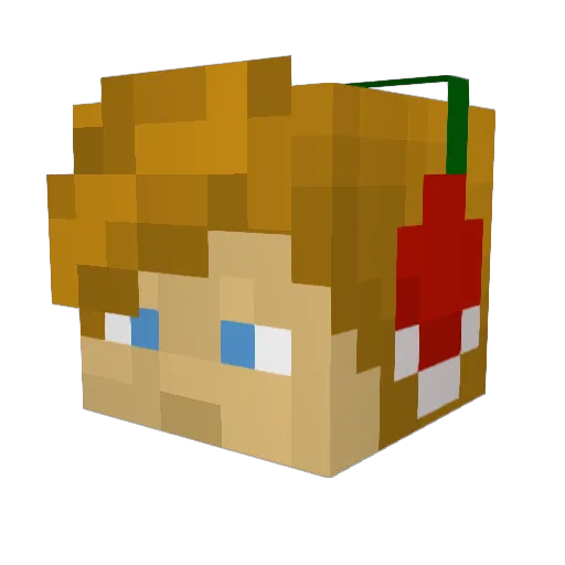 Benanite Minecraft avatar head, 3D render
