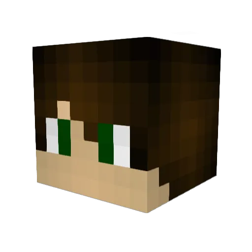 Benaq01 Minecraft avatar head, 3D render