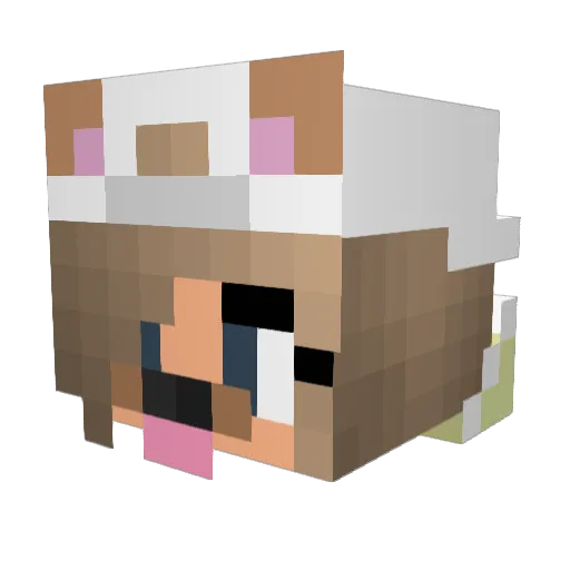 Benascrazy Minecraft avatar head, 3D render
