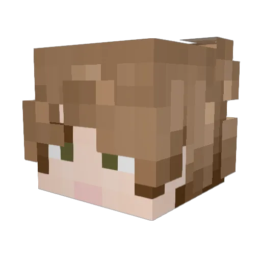 BenbleBee Minecraft avatar head, 3D render