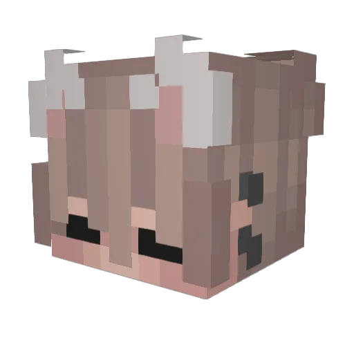 Bence909 Minecraft avatar head, 3D render