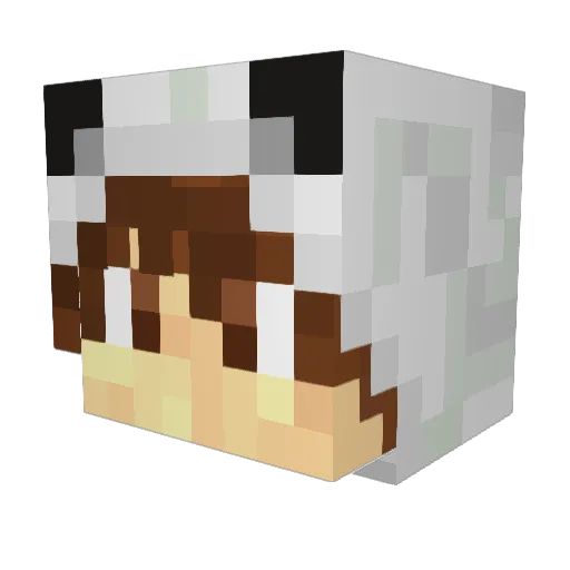 Bencecske12 Minecraft avatar head, 3D render