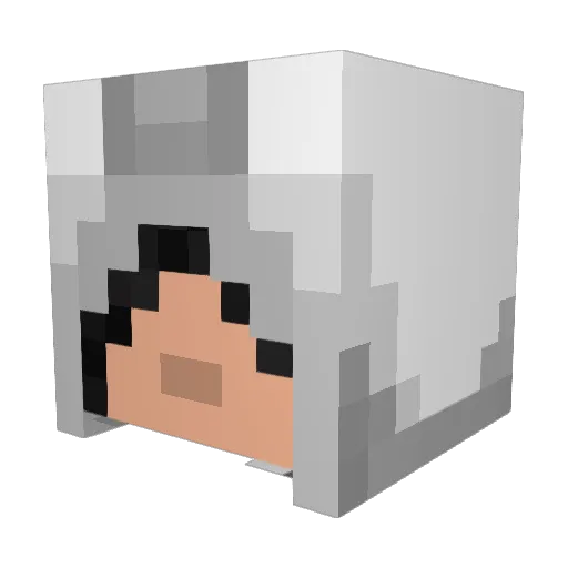 Bencus47 Minecraft avatar head, 3D render