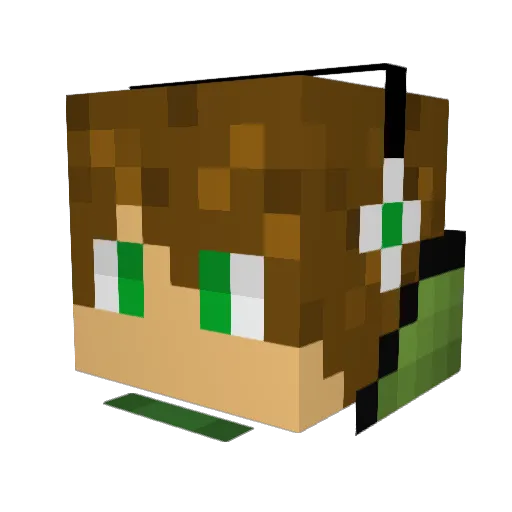 Benderdragon147 Minecraft avatar head, 3D render