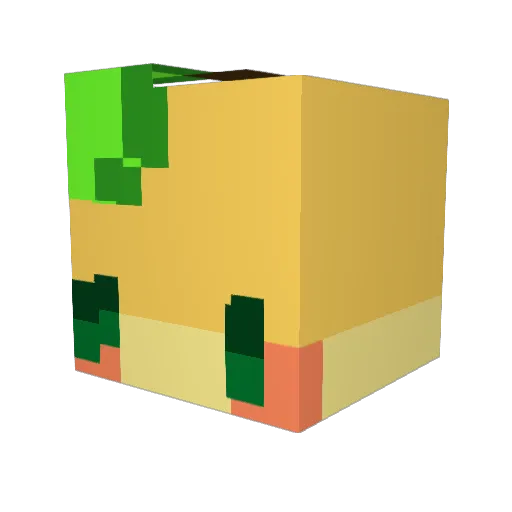 BendingVoage1 Minecraft avatar head, 3D render