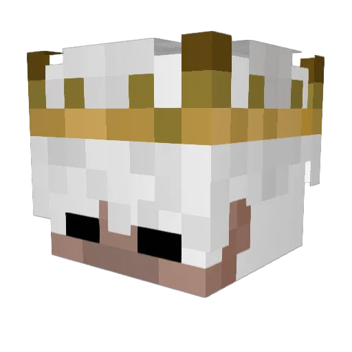 Bendix2005 Minecraft avatar head, 3D render