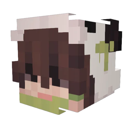 Bendy21413 Minecraft avatar head, 3D render