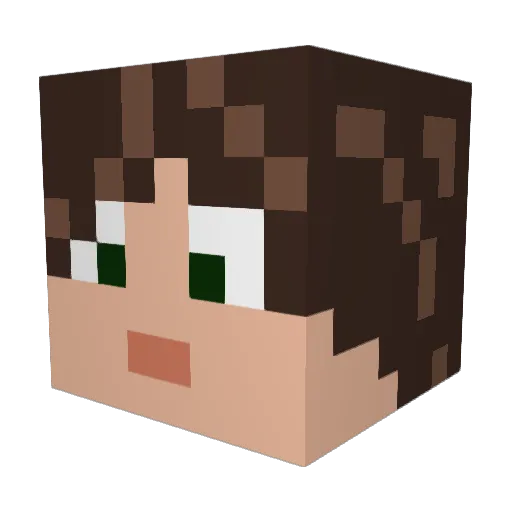 Bene974 Minecraft avatar head, 3D render