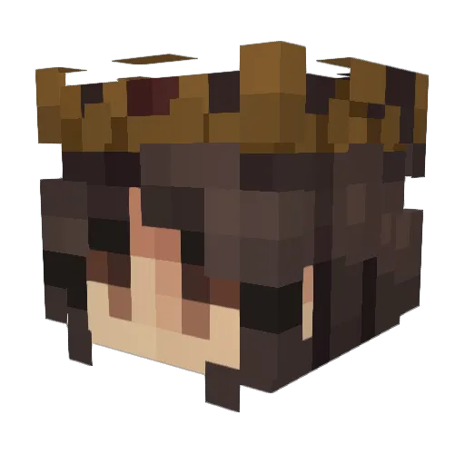 BeneNate13 Minecraft avatar head, 3D render