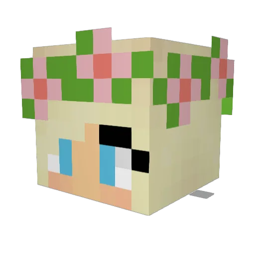 BenedictD Minecraft avatar head, 3D render