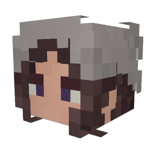 Benedicts Minecraft avatar head, 3D render