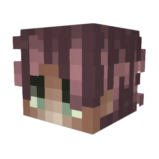 Benefice Minecraft avatar head, 3D render