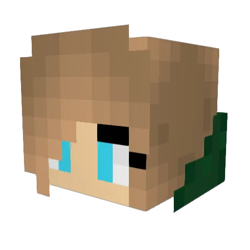 Benelu Minecraft avatar head, 3D render