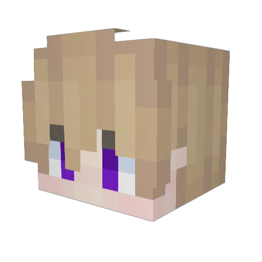 Benen8v Minecraft avatar head, 3D render