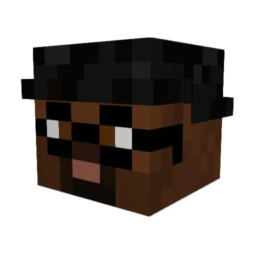 BengaBumerangue Minecraft avatar head, 3D render