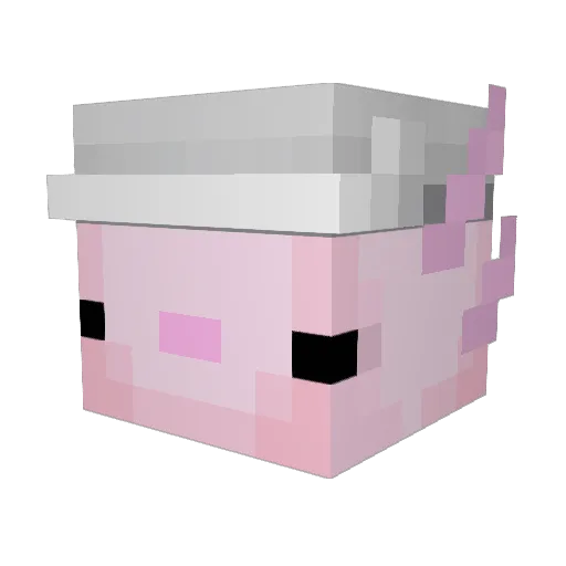 Bengaard4564 Minecraft avatar head, 3D render