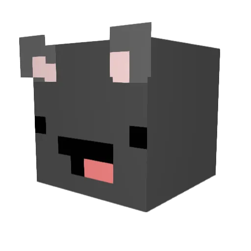 Bengalsforlife Minecraft avatar head, 3D render