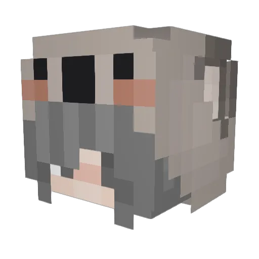 Bengeltje Minecraft avatar head, 3D render