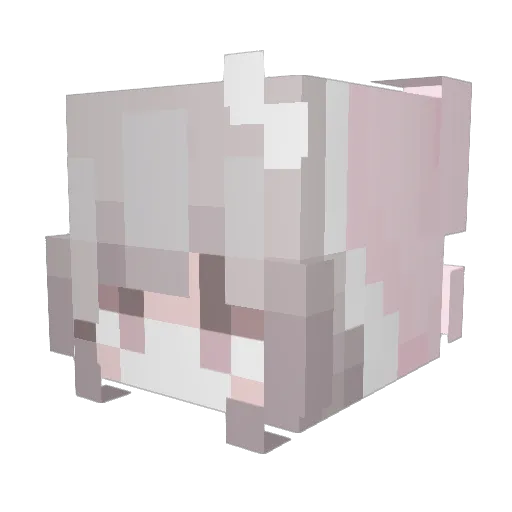 Bengu44 Minecraft avatar head, 3D render