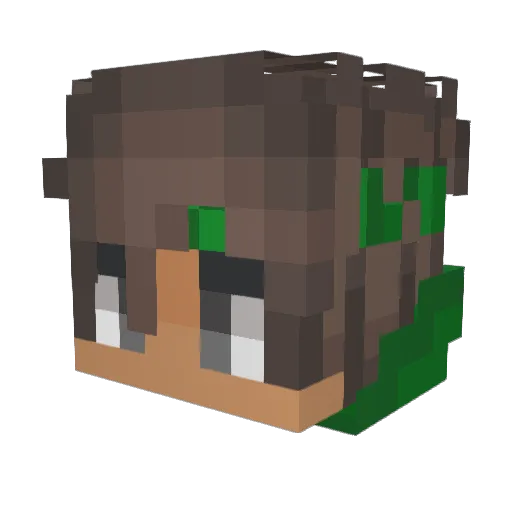 Benhunter15 Minecraft avatar head, 3D render