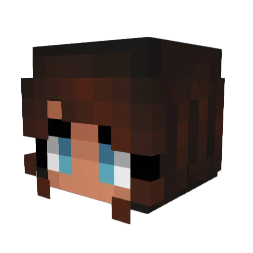 BeniBear84 Minecraft avatar head, 3D render