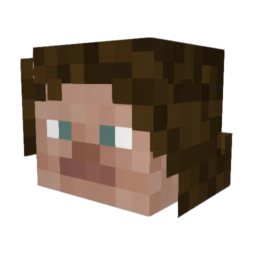 Benia9876 Minecraft avatar head, 3D render