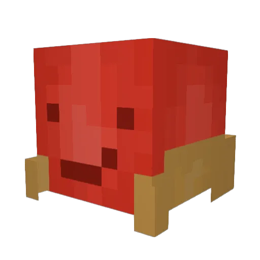 Benirker1st Minecraft avatar head, 3D render