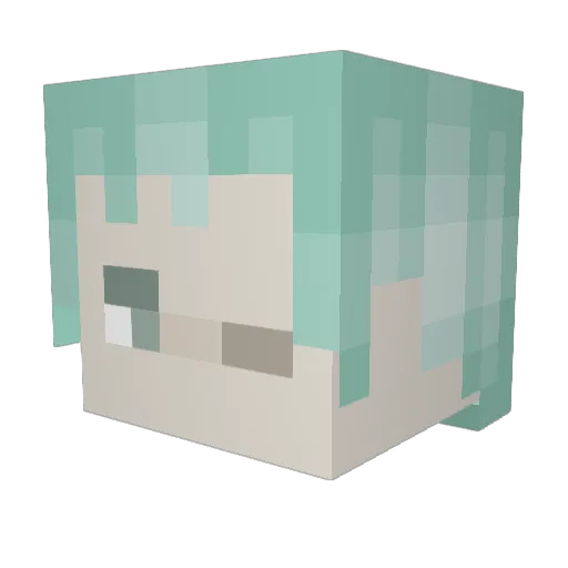 Benj000 Minecraft avatar head, 3D render