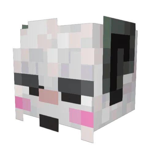 Benj1kus Minecraft avatar head, 3D render