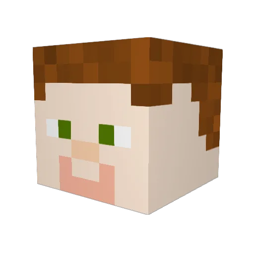 Benj_250 Minecraft avatar head, 3D render