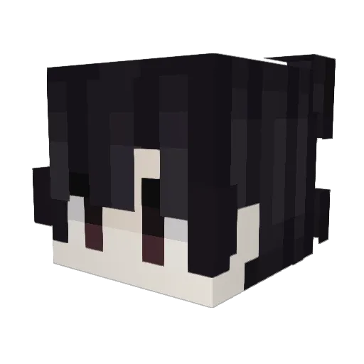 Benja1705 Minecraft avatar head, 3D render