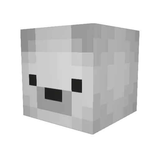 Benja_20 Minecraft avatar head, 3D render