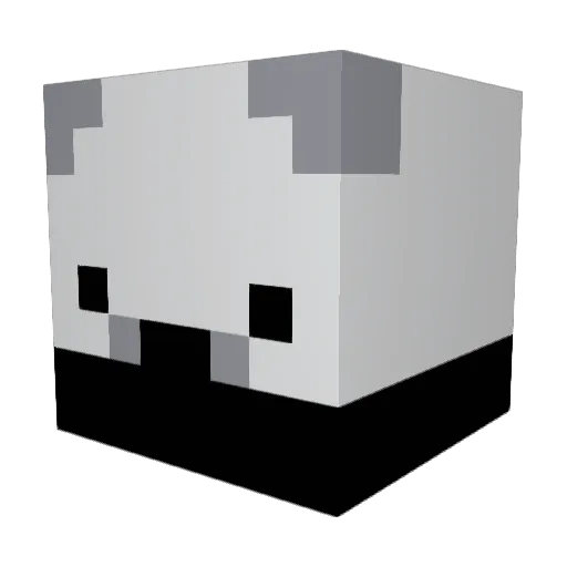 Benja_4181 Minecraft avatar head, 3D render
